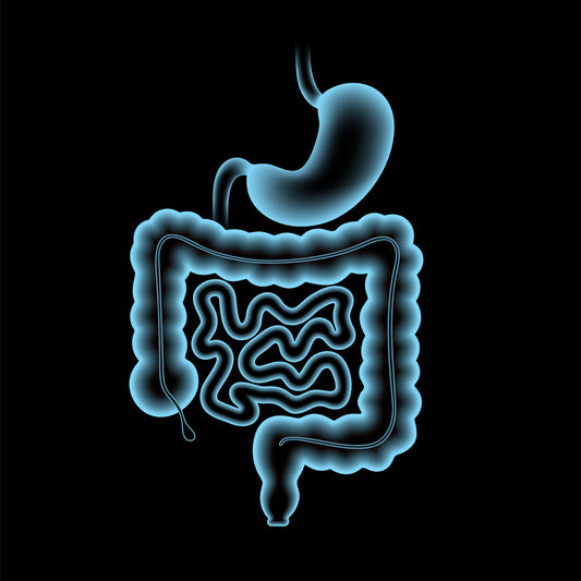 Unveiling the Microbial World