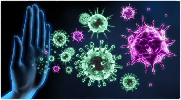 The Gut-Health Showdown: Digestive Enzymes vs. Probiotics