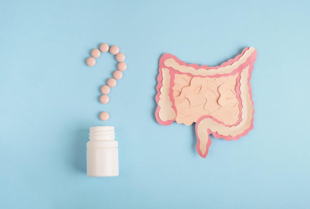 Prebiotics vs Probiotics vs Postbiotics: What's the Difference? - Fitbiomics