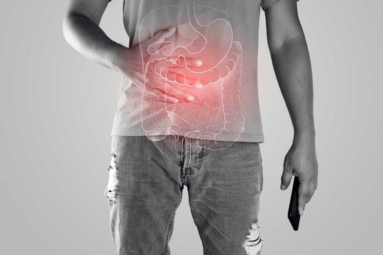 Probiotics for IBS: How Can They Help? - Fitbiomics