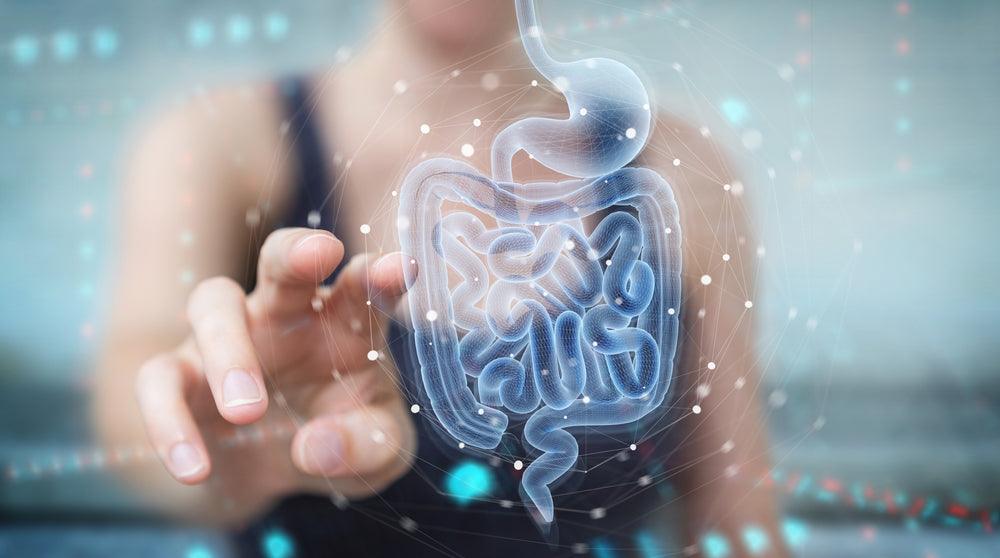 The Importance of Probiotics for Digestion - Fitbiomics