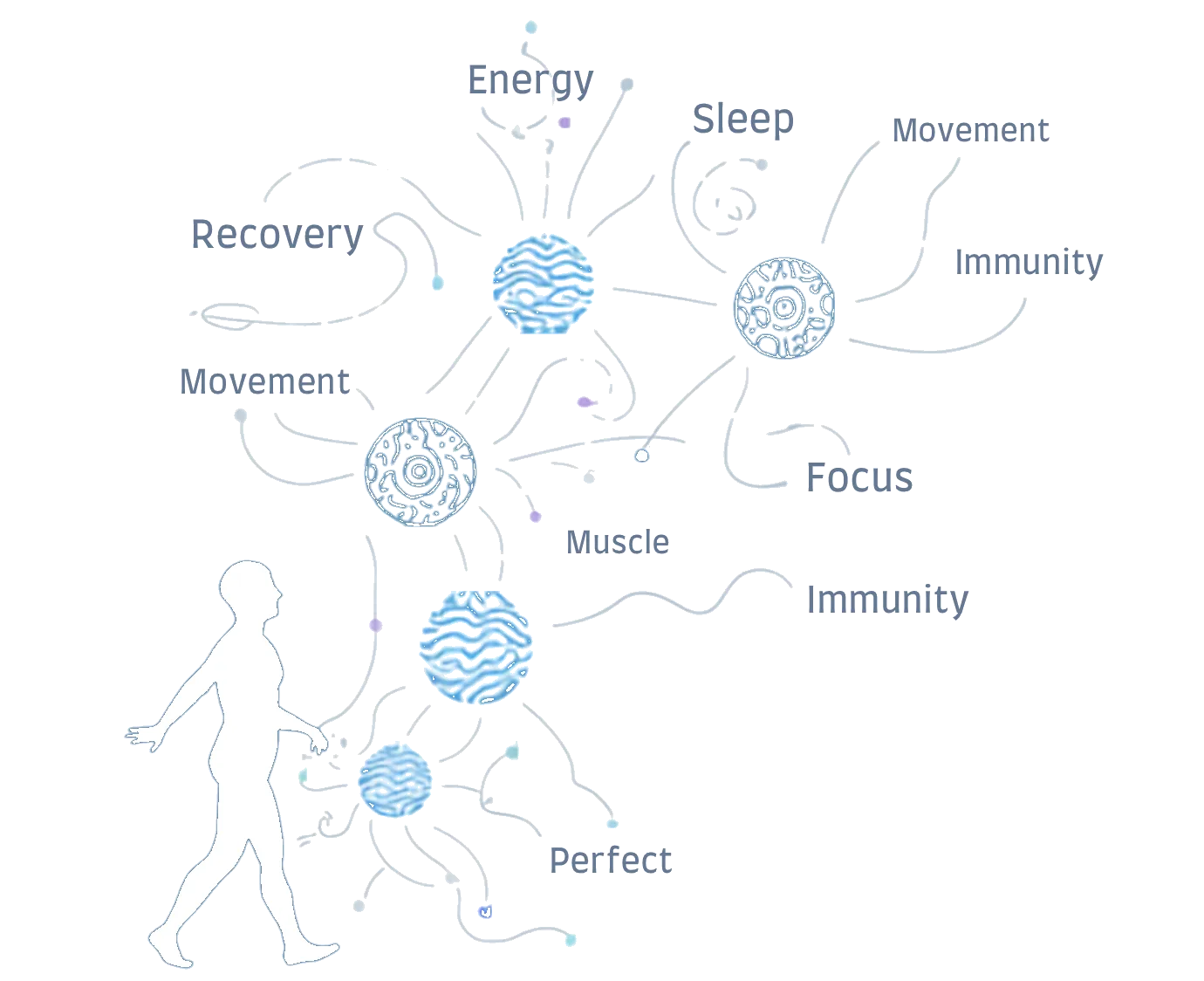 Microbiome connections