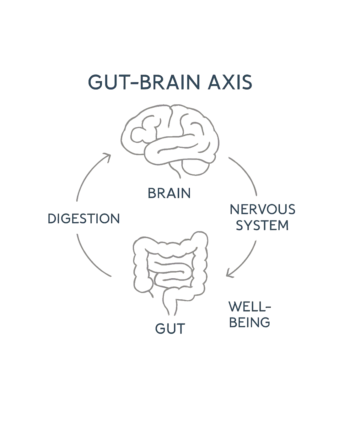 Gut Immune Brain